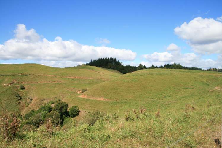 698 Mangaoapa Road Matau_21