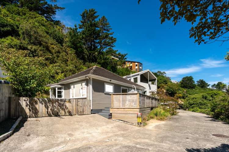 489 Ohiro Road Brooklyn_19