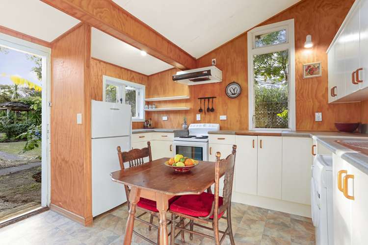 58 Elgin Street Grey Lynn_8