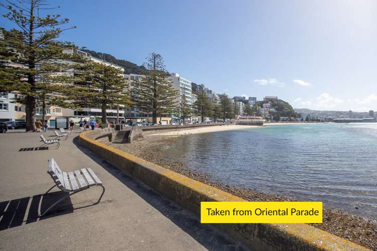 1 Grass Street Oriental Bay_21