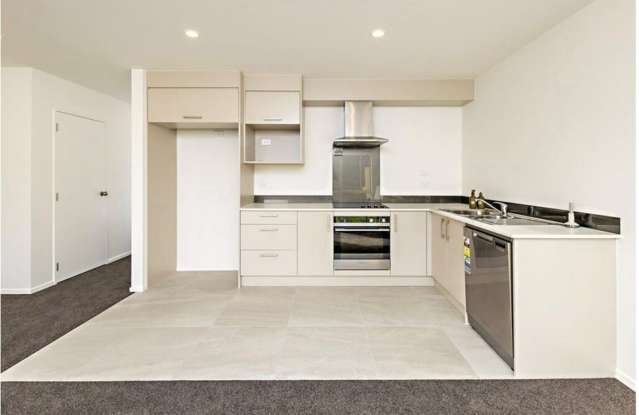 116 Joseph Street Flat Bush_2