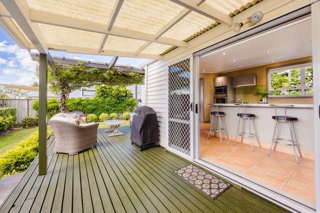 81 Vigor Brown Street Napier South_4