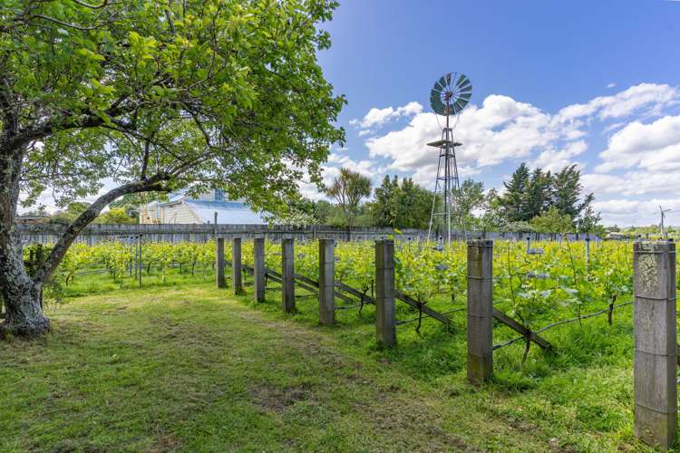 35a New York Street Martinborough_17