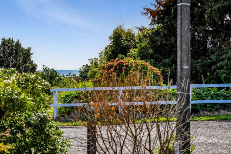 17 Hoyle Place New Plymouth Central_2