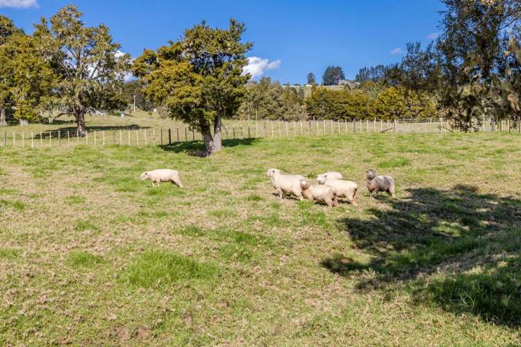 1375 State Highway 1 Okaihau_21