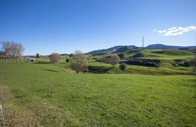 772 Oreipunga Road Cambridge_10