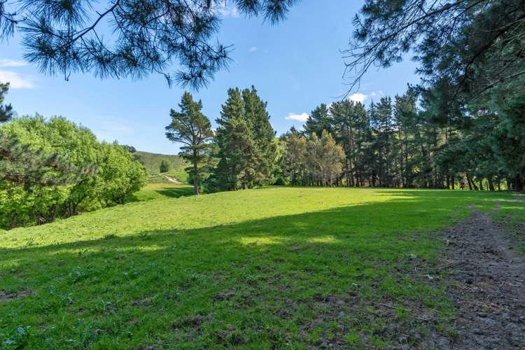 839 Whangaehu Valley Road Whangaehu Valley_31