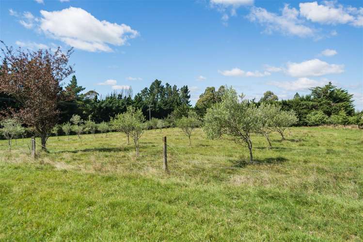 7 Hodgsons Road Loburn_12