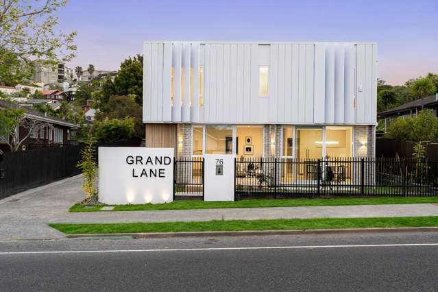 Contemporary Remuera Living
