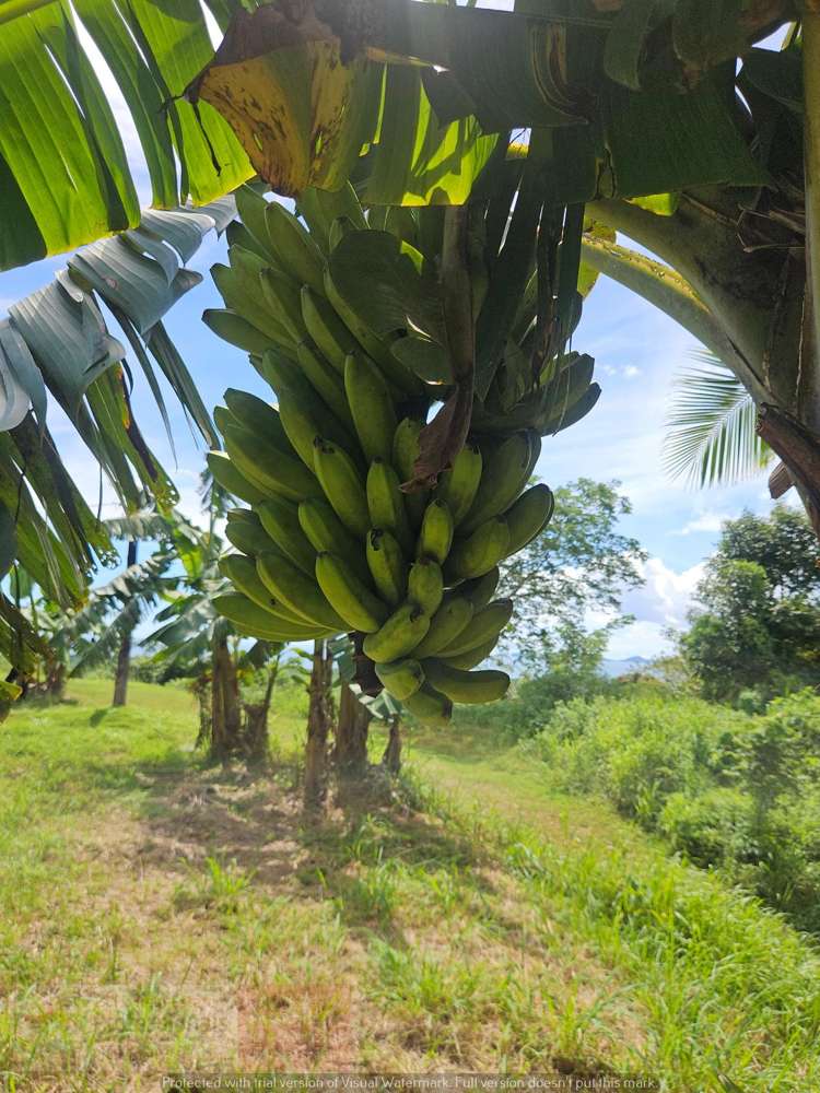 Address withheld Labasa_27