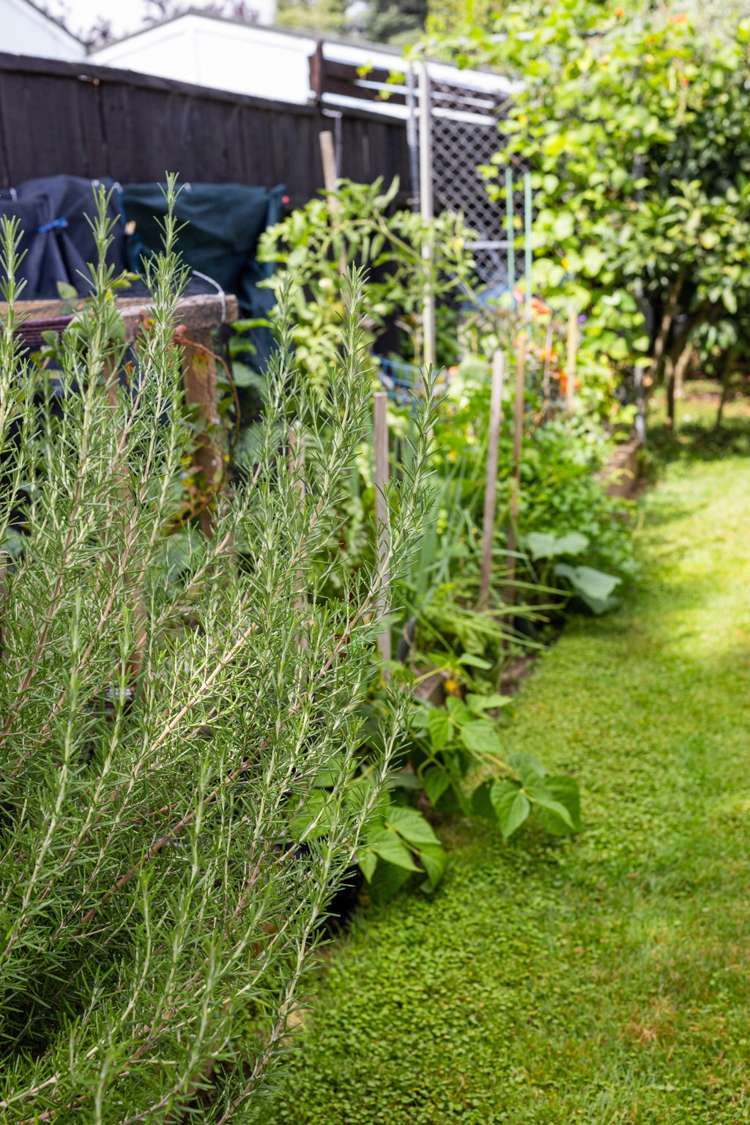 3 Sheridan Crescent Leamington_30