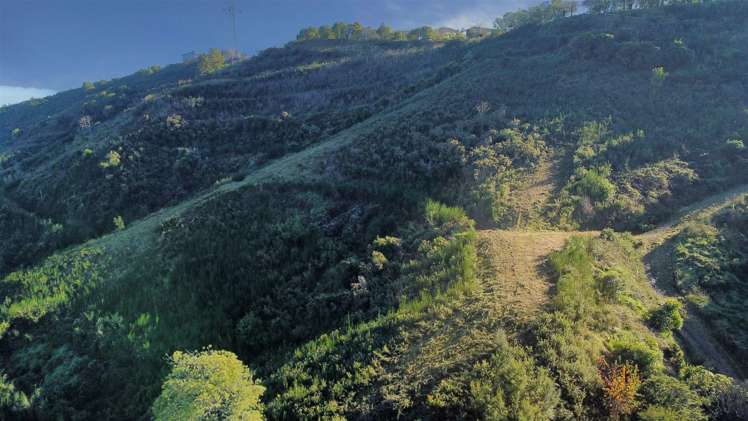 184 Panorama Drive_4