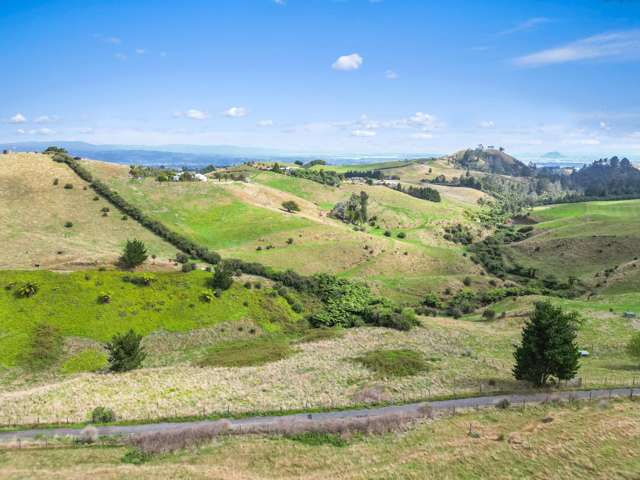 405F Rowe Road Ohauiti_3