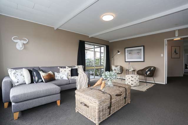 67 Freyberg Avenue Tamatea_4