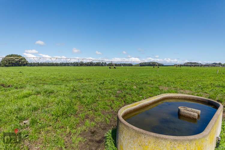 150 Himatangi Beach Road Himatangi_11