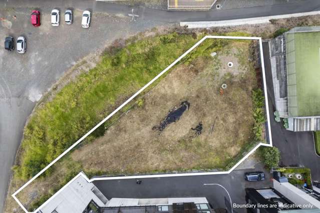 11A Cheshire Street Parnell_1