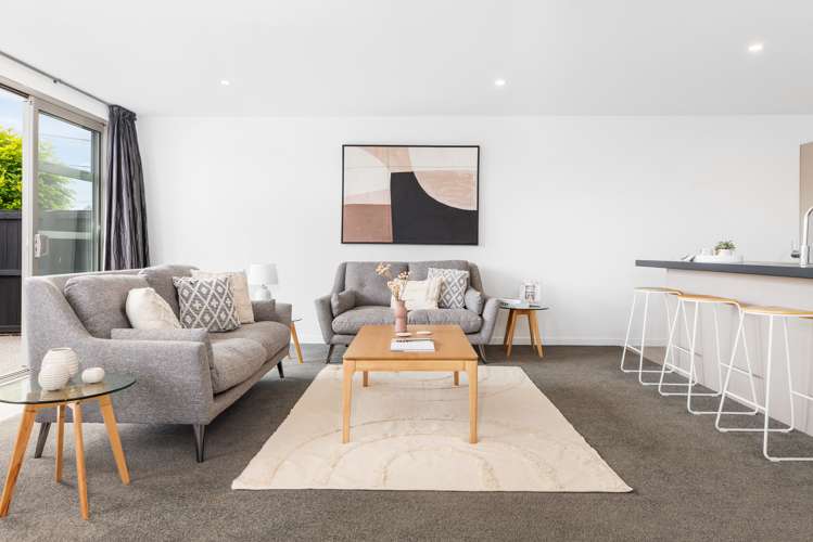 16 Millar Street Sydenham_13