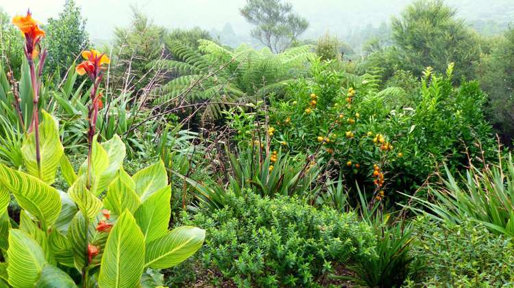 53 Kitewaho Road Swanson_120