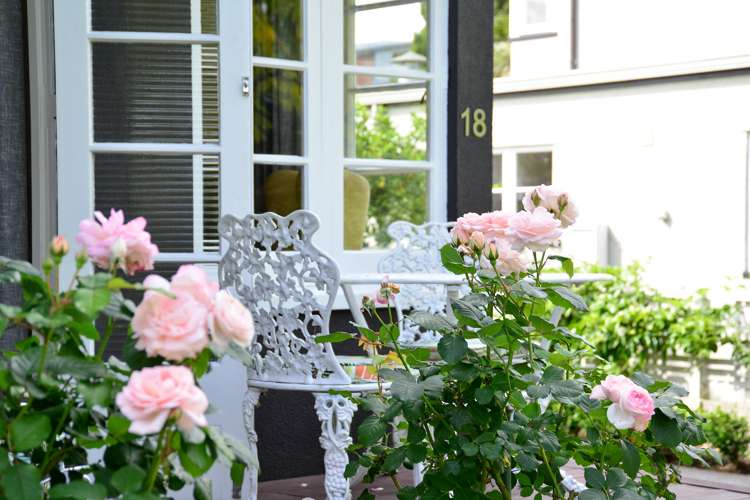 18 Maeroa Road Beerescourt_23