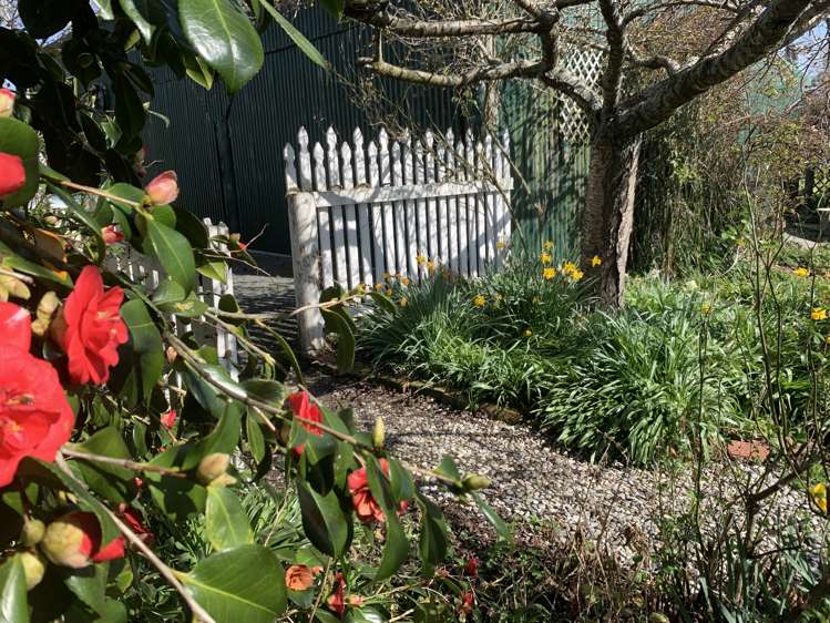 122 Old Port Road Catlins Surrounds_29