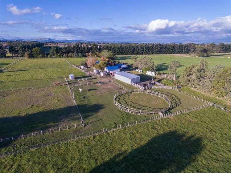 217 Norfolk Road Carterton_10