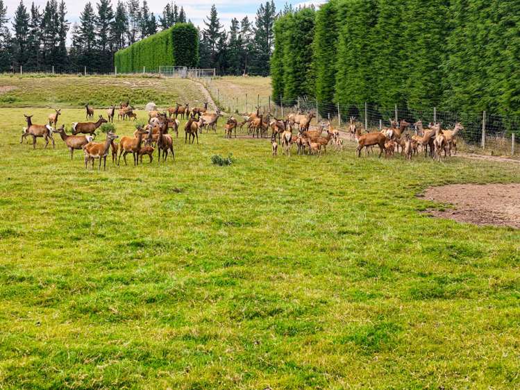 1542 Te Anau Mossburn Highway Te Anau Surrounds_11