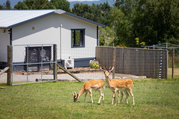 40 Tiraumea Road Pahiatua_21