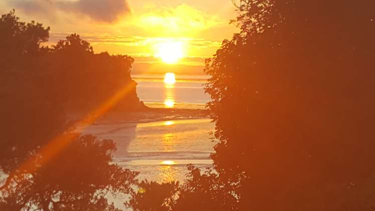 16 Dorothy Road Laingholm_19