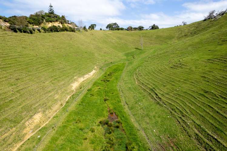 Lot 1 Rockell Road Whananaki_16