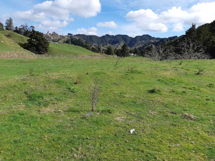 Kururau Road Taumarunui_5