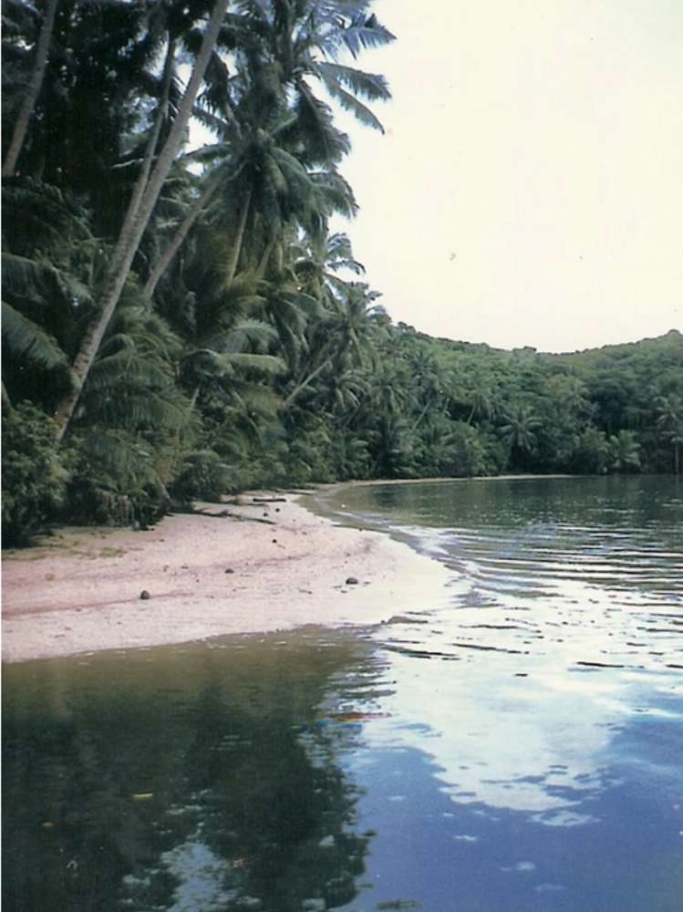 lot 3 and 4 Nasalia Estate, Udu Point, Vanua Levu Vanua Levu_8