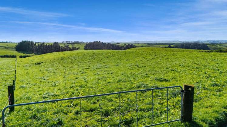 2A Ropata Street Hawera_10
