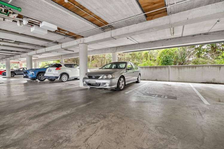 A45/210 Dairy Flat Highway Albany_12