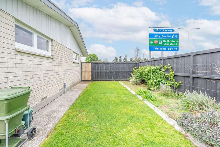 Flat 1/747 Cameron Road Tauranga South_13