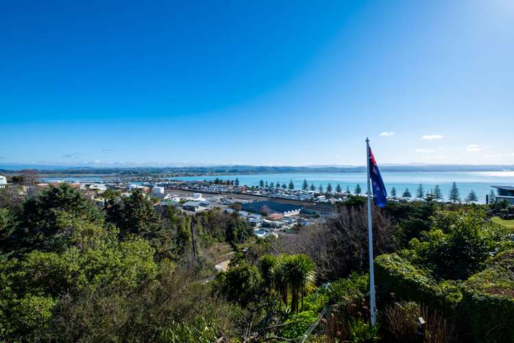26a Roslyn Road Bluff Hill_15