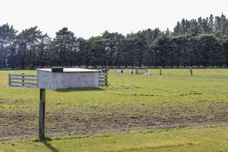 2708 South Eyre Road Eyrewell Forest_34