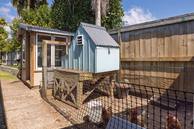 8 Te Mutu Crescent Maungatapu_13