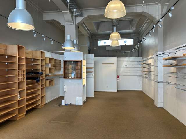 36 Tennyson Street Napier South_1