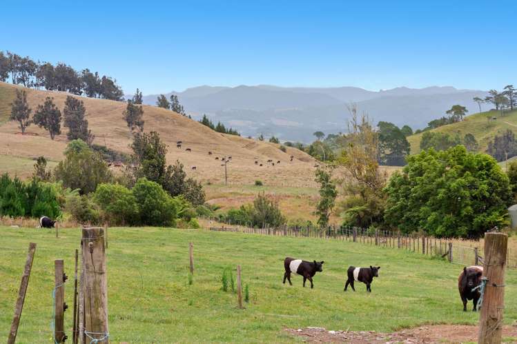 152 Heard Road Waihi_15