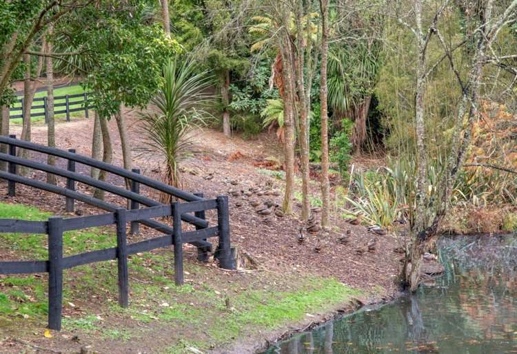 Woodlyn Drive Karaka_9