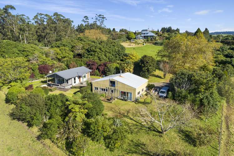 499 Wainui South Road Whakamarama_8
