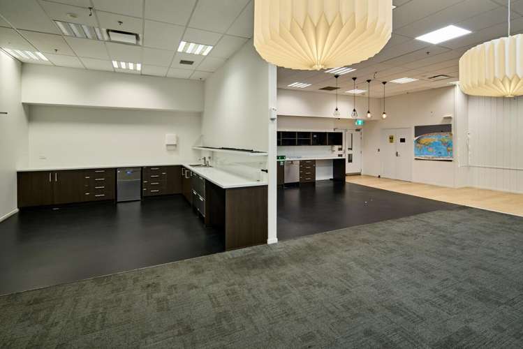 8 Gilmer Terrace Wellington Central_13