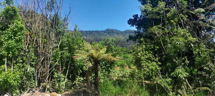 42 Pitt Street Runanga_11