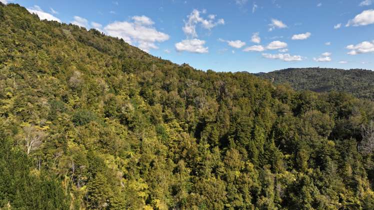 - Waioeka Pa Road Opotiki_17