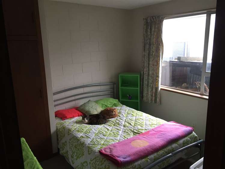 32a Charles Street Rangiora_4