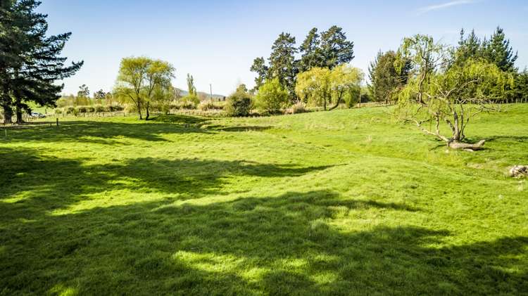 86 Tod Road Otane_16