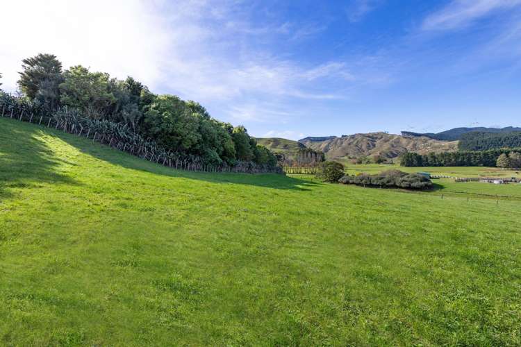 143 Pond Road Raglan_35