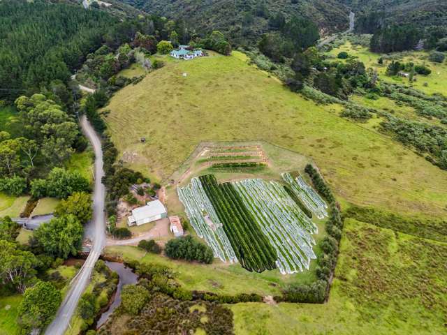 Mahinepua Road - Vineyard and Implement Sheds Mahinepua Peninsula_4