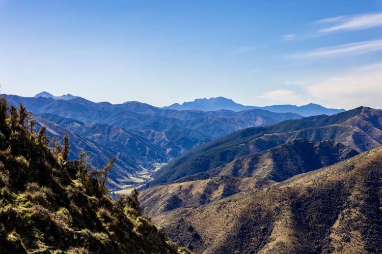 4098 Waihopai Valley Road Waihopai Valley_21