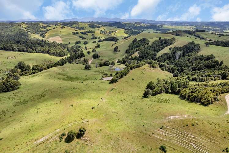 123 Homackey Road Matakohe_5